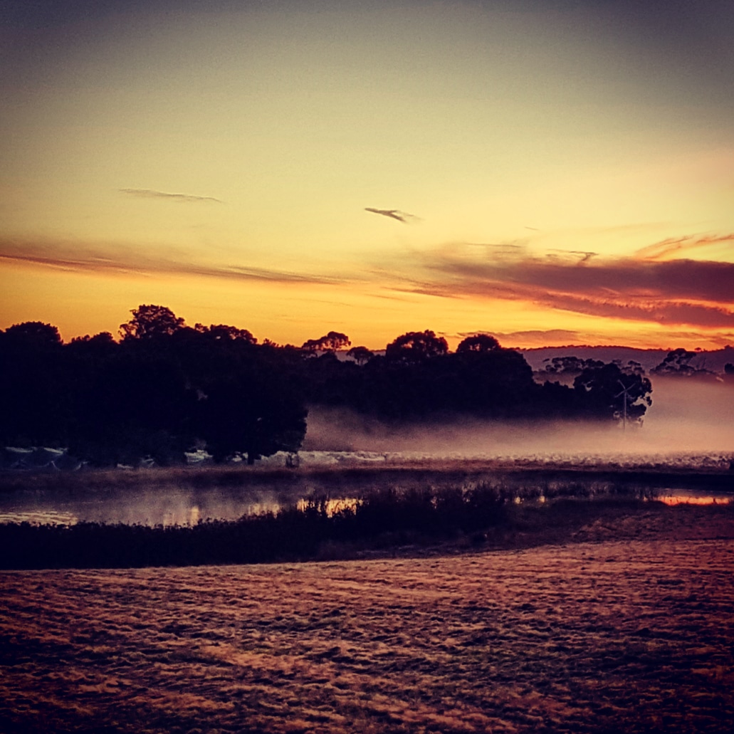 Harvest morning